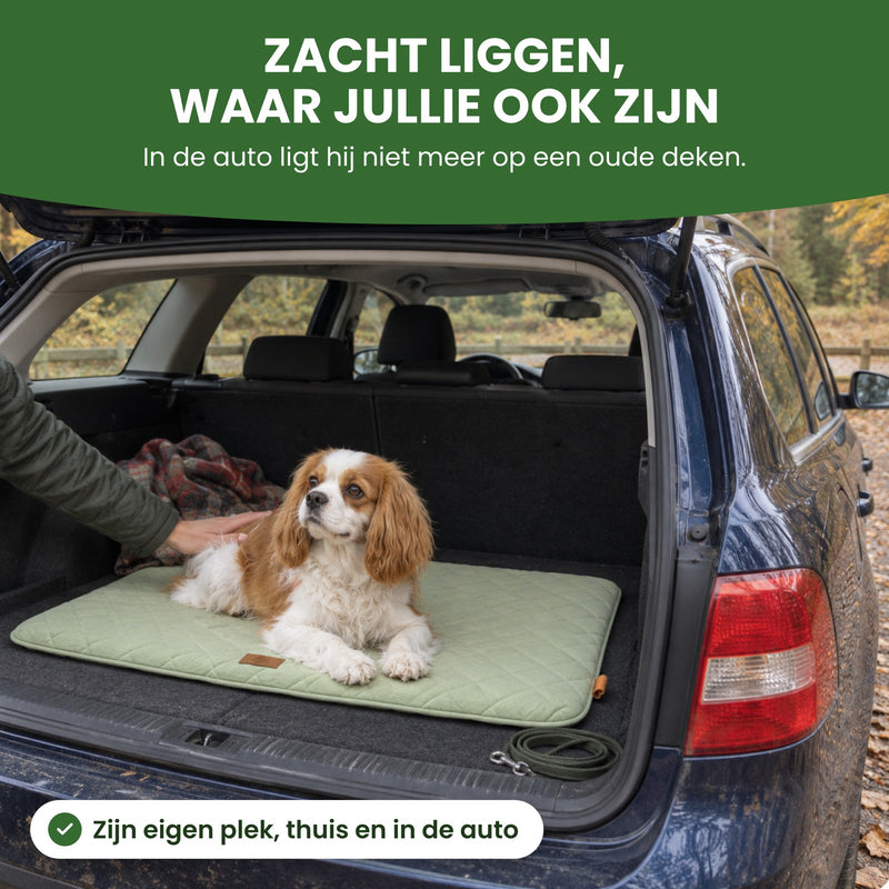 Hondje ligt op de groene PawCloud hondenmat in een open kofferbak bij het bos, de oude deken ligt opzij: zacht liggen, waar jullie ook zijn