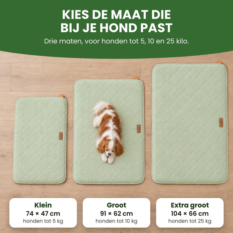 Drie PawCloud hondenmatten van boven: Klein 74 × 47 cm, Groot 91 × 62 cm en Extra groot 104 × 66 cm: kies de maat die bij je hond past
