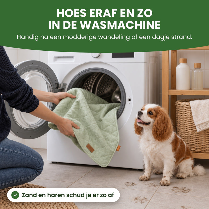 Handen stoppen de groene hoes van de PawCloud hondenmat in de wasmachine, het hondje kijkt toe: hoes eraf en zo in de wasmachine