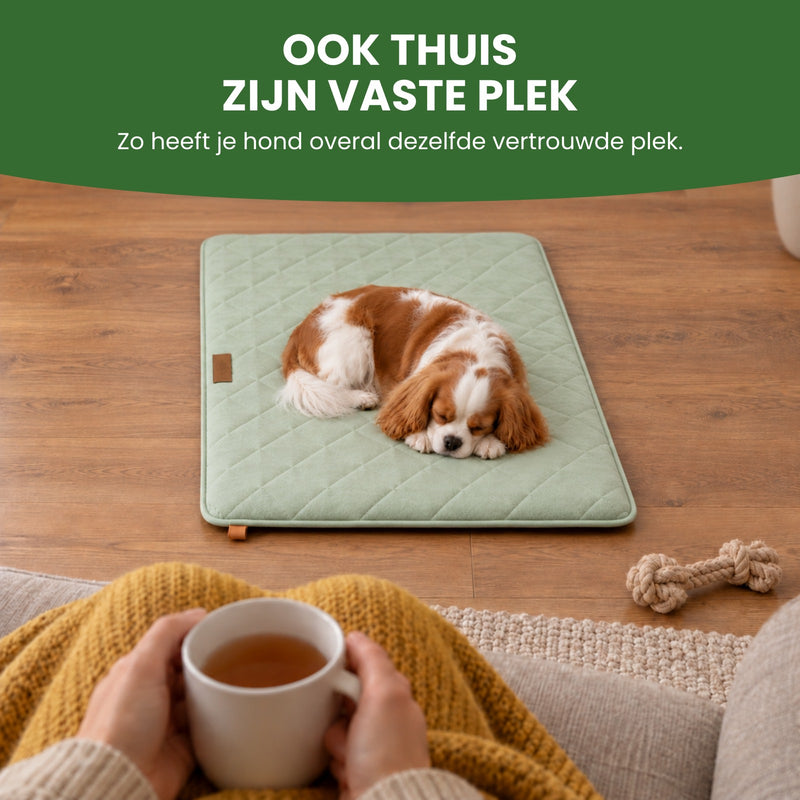 Hondje slaapt thuis op de groene PawCloud hondenmat op de houten vloer voor de bank: ook thuis zijn vaste plek
