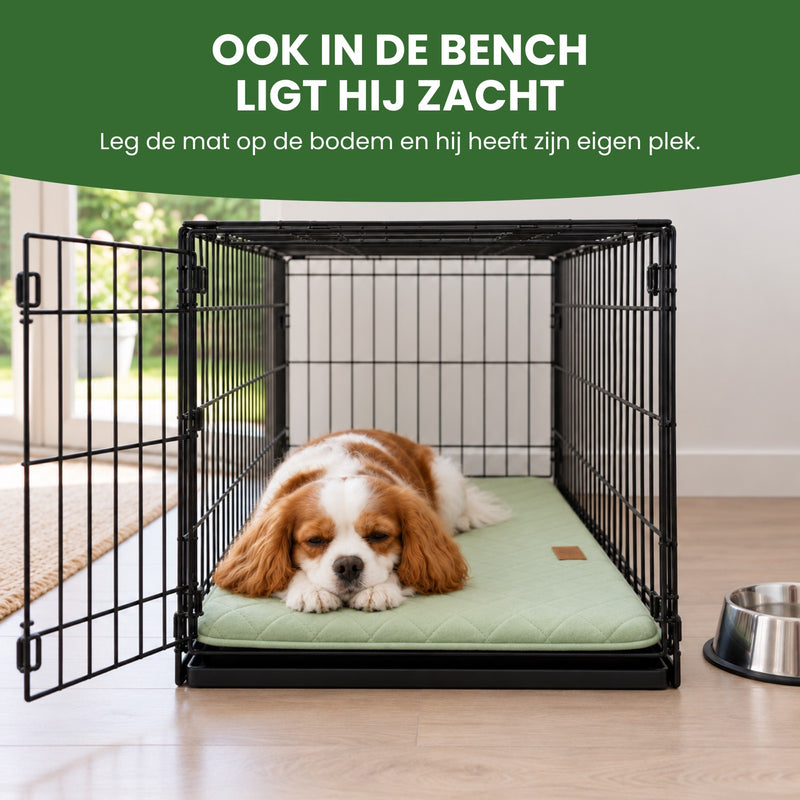 Hondje ligt in een open bench op de groene PawCloud hondenmat die op de bodem ligt: ook in de bench ligt hij zacht