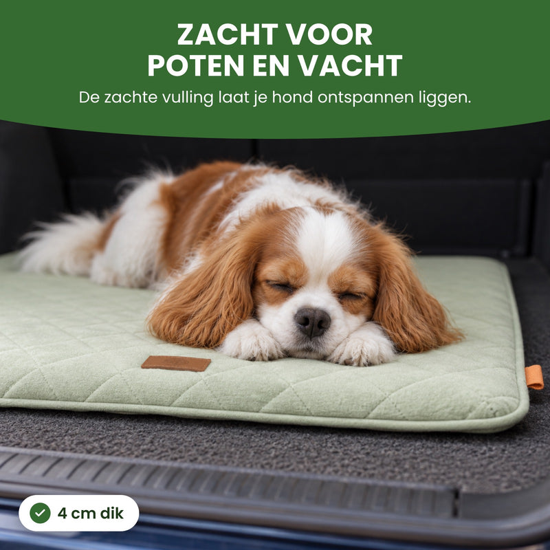 Hondje slaapt met zijn kop op zijn poten op de PawCloud hondenmat in de kofferbak, van dichtbij, de mat is 4 cm dik: zacht voor poten en vacht